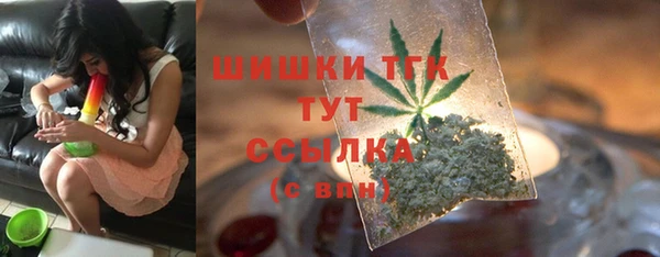 ALPHA-PVP Гусев