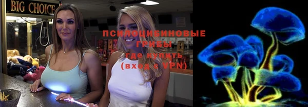 сатива Гусиноозёрск