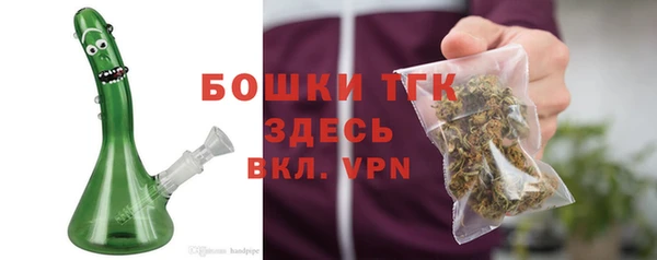 сатива Гусиноозёрск