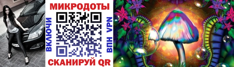 Купить где  Куйбышев  Псилоцибиновые грибы MAGIC MUSHROOMS 